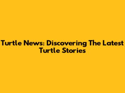 Turtle News: Discovering The Latest Turtle Stories