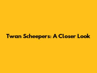 Twan Scheepers: A Closer Look