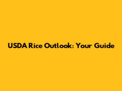 USDA Rice Outlook: Your Guide