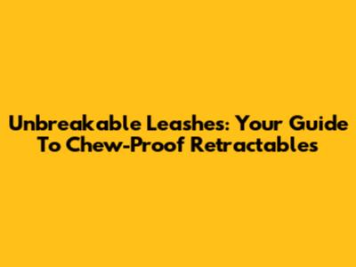 Unbreakable Leashes: Your Guide To Chew-Proof Retractables