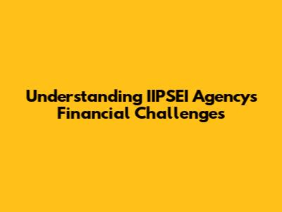 Understanding IIPSEI Agency's Financial Challenges