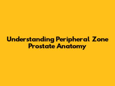 Understanding Peripheral Zone Prostate Anatomy