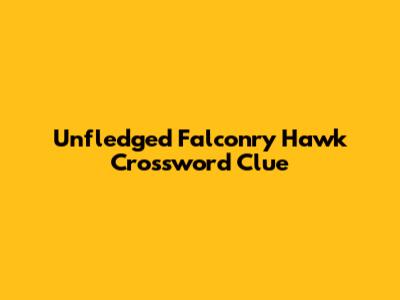 Unfledged Falconry Hawk Crossword Clue