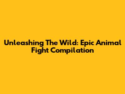 Unleashing The Wild: Epic Animal Fight Compilation