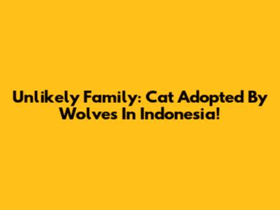 Unlikely Family: Cat Adopted By Wolves In Indonesia!