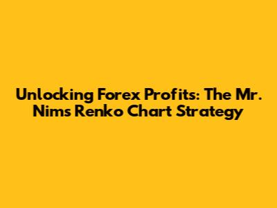 Unlocking Forex Profits: The Mr. Nims Renko Chart Strategy
