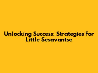 Unlocking Success: Strategies For Little Sesavantse