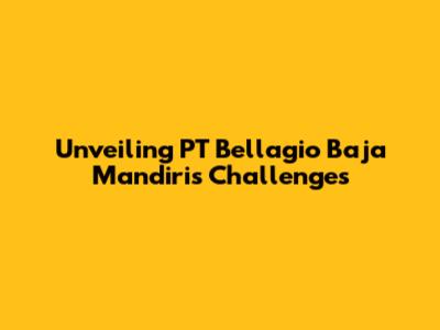 Unveiling PT Bellagio Baja Mandiri's Challenges