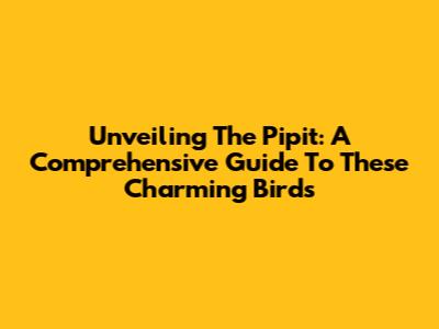 Unveiling The Pipit: A Comprehensive Guide To These Charming Birds