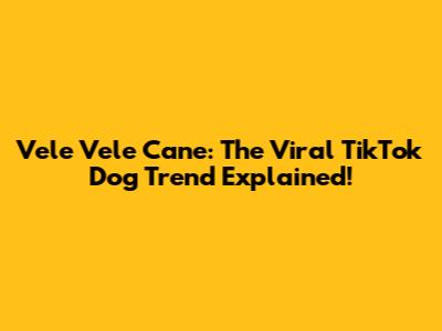 Vele Vele Cane: The Viral TikTok Dog Trend Explained!