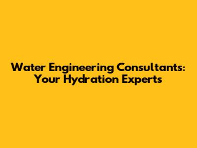 Water Engineering Consultants: Your Hydration Experts