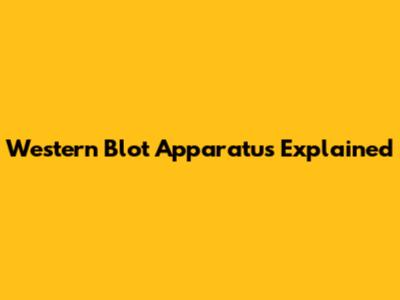 Western Blot Apparatus Explained