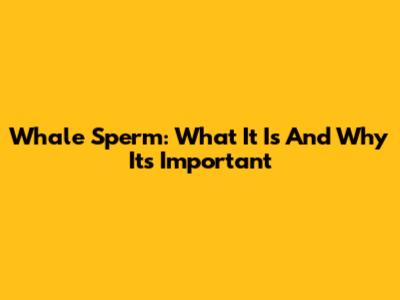 Whale Sperm: What It Is And Why It's Important