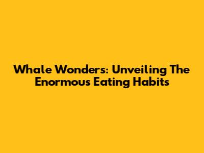 Whale Wonders: Unveiling The Enormous Eating Habits