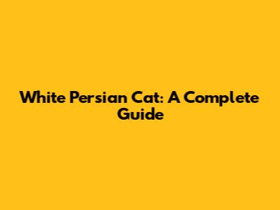 White Persian Cat: A Complete Guide