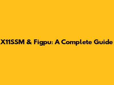 X11SSM & Figpu: A Complete Guide