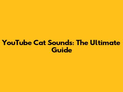 YouTube Cat Sounds: The Ultimate Guide