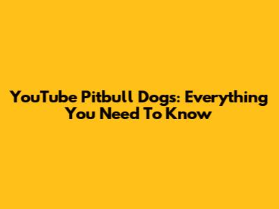 YouTube Pitbull Dogs: Everything You Need To Know