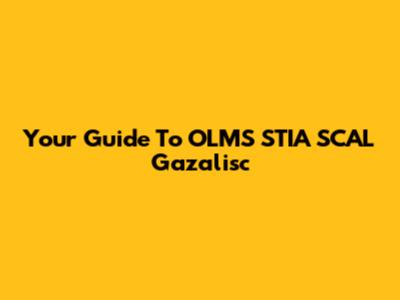Your Guide To OLMS STIA SCAL Gazalisc