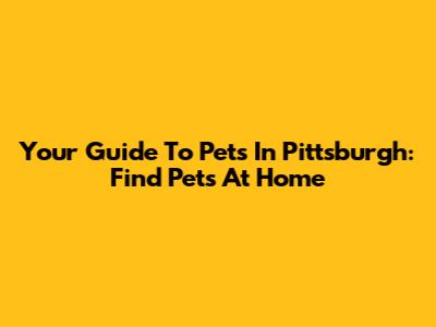 Your Guide To Pets In Pittsburgh: Find Pets At Home