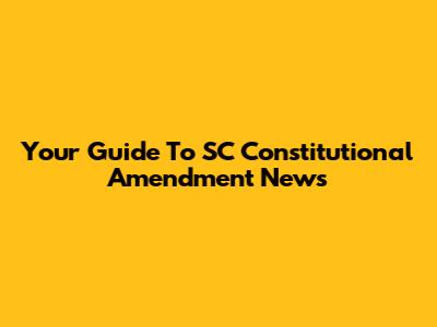 Your Guide To SC Constitutional Amendment News