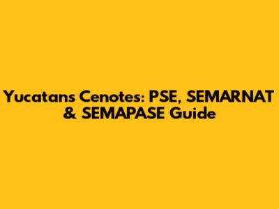 Yucatan's Cenotes: PSE, SEMARNAT & SEMAPASE Guide