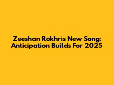 Zeeshan Rokhri's New Song: Anticipation Builds For 2025